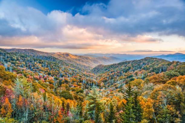 Breathtaking Sunsets, Views, Pool, Heaven Awaits! Villa Gatlinburg Luaran gambar